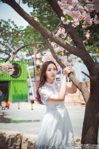 农场主的女儿们